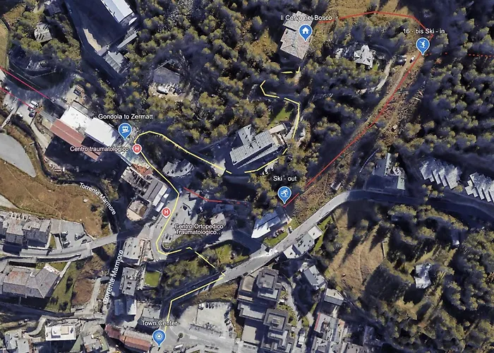 Il Cervo Nel Bosco Breuil-Cervinia